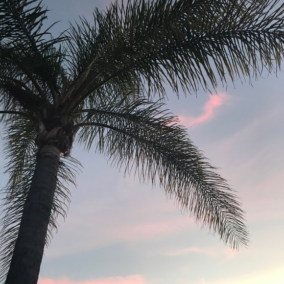 Meet your Posher, Becky - Picture 1 of 1